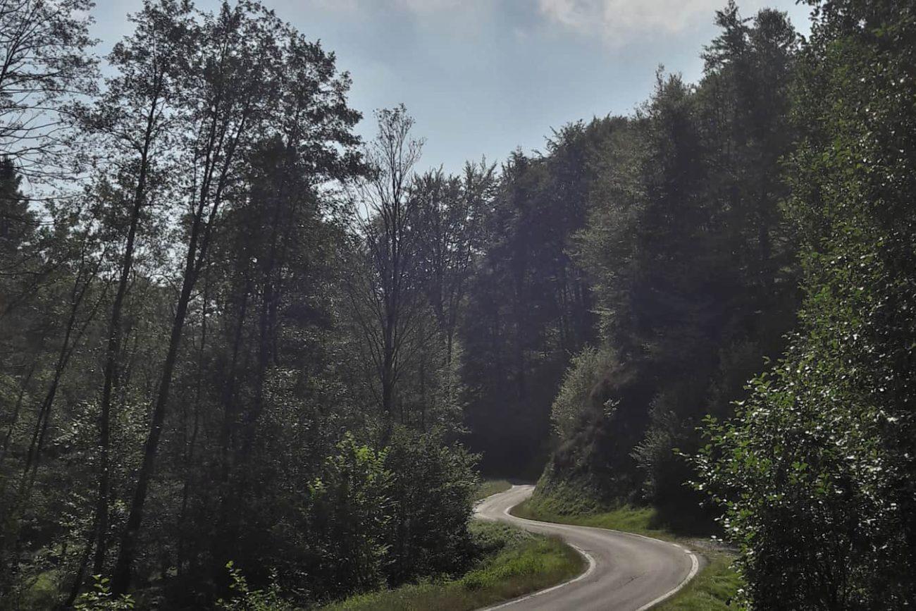 La faglia e la strada / CREMOSINA