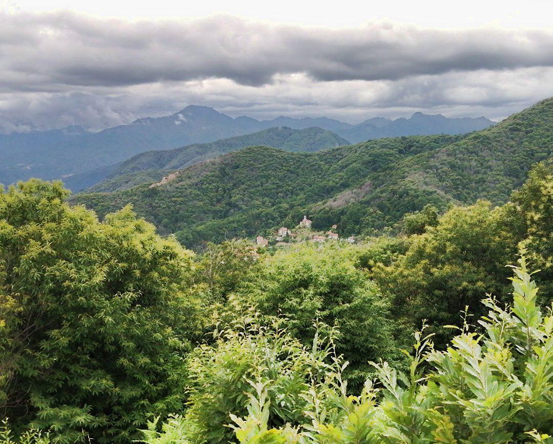 Parco Naturale del Monte Fenera / GARGALLO